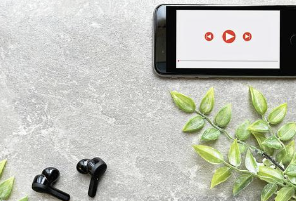 弁護士がユーチューバーを始めるデメリット2つ